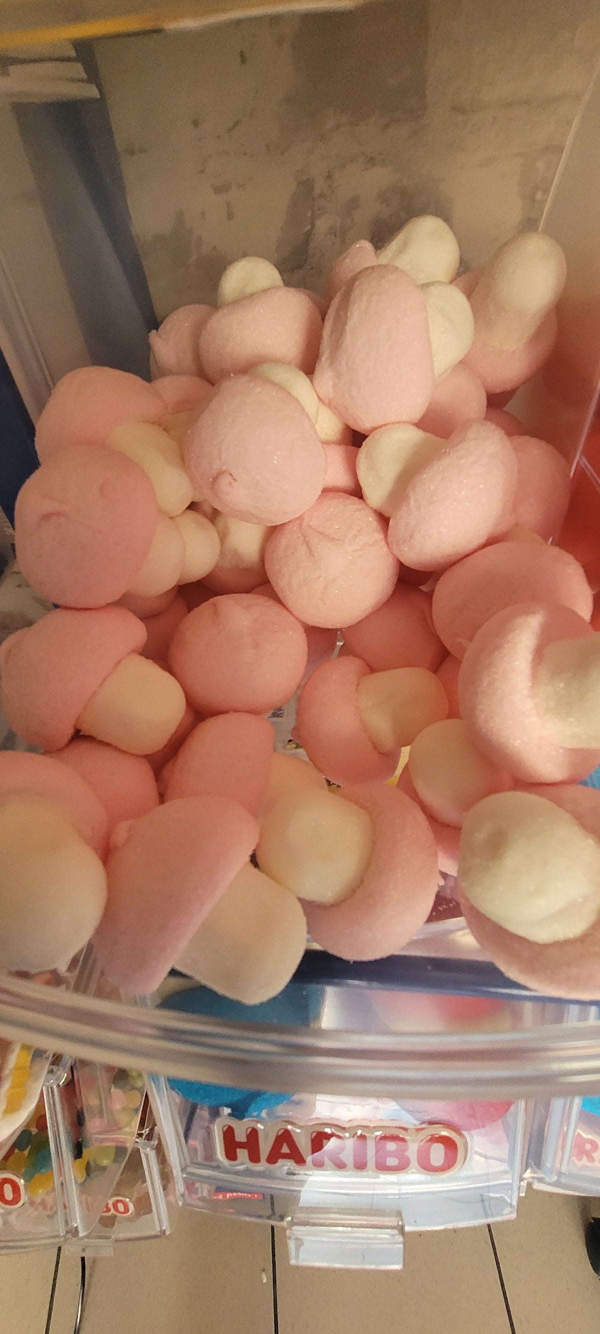 Champignon XL