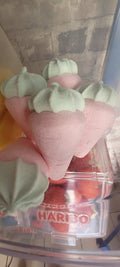 Fraise Pink XXL