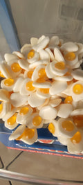 oeuf