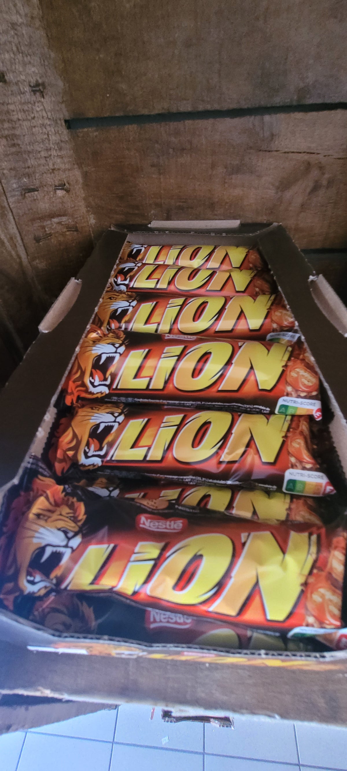 Lion