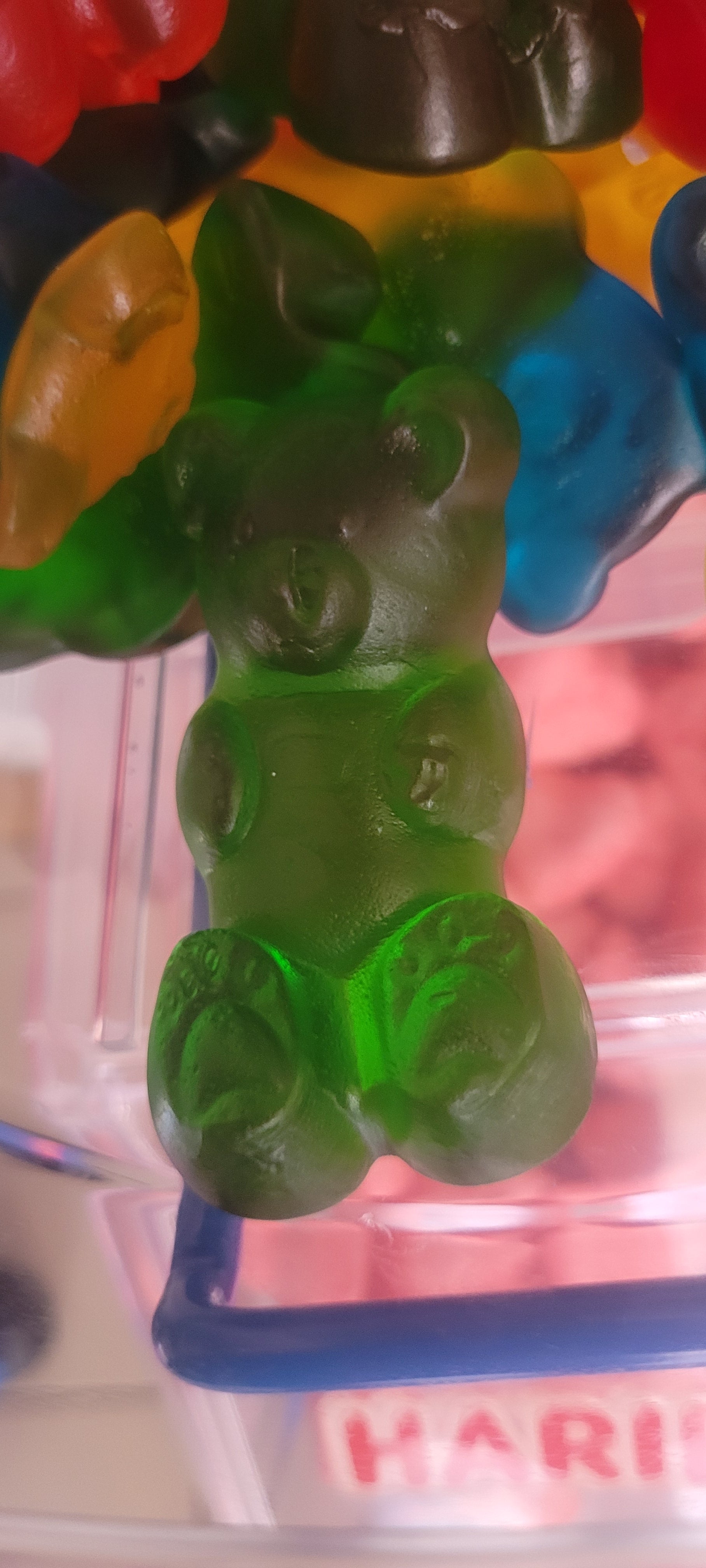 Ourson XXL