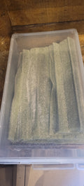 Bandeau Pik Pomme
